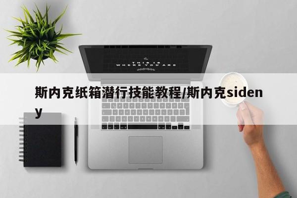 斯内克纸箱潜行技能教程/斯内克sideny