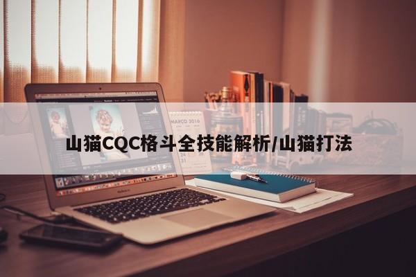 山猫CQC格斗全技能解析/山猫打法
