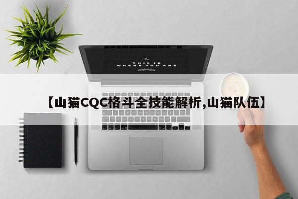【山猫CQC格斗全技能解析,山猫队伍】
