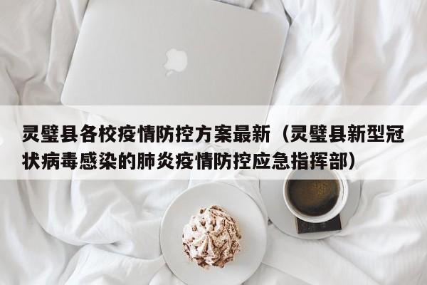 灵璧县各校疫情防控方案最新（灵璧县新型冠状病毒感染的肺炎疫情防控应急指挥部）