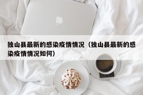 独山县最新的感染疫情情况（独山县最新的感染疫情情况如何）